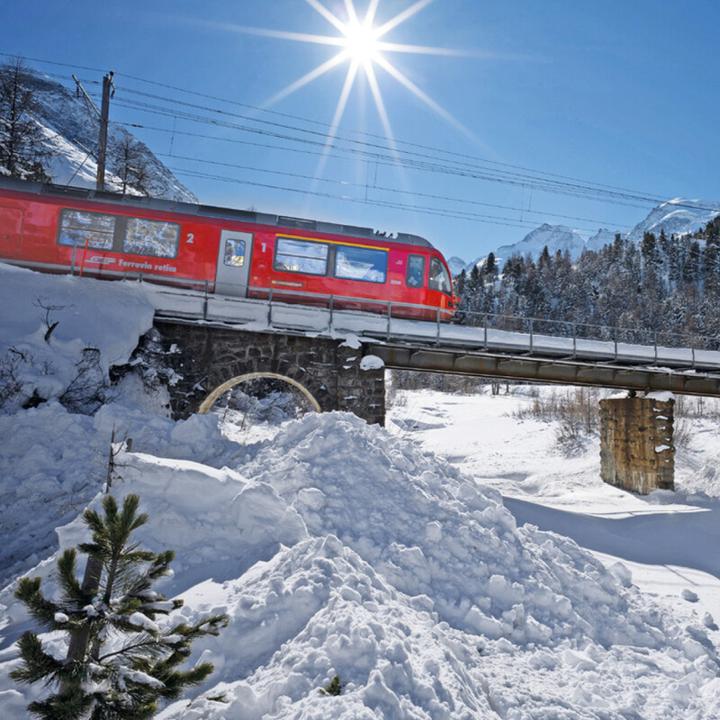 Image du produit Mini-Swiss 2026