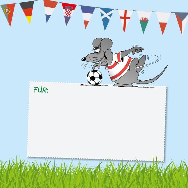 Actual product image Viel Spass beim Fussball (German, Uli Stone, 2022)