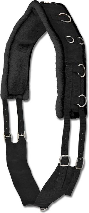Image du produit Waldhausen Sangle de longe soft