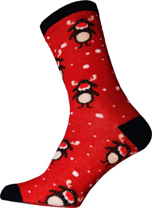 Actual product image RJM Christmas Design Socks (40.5 - 45.5)