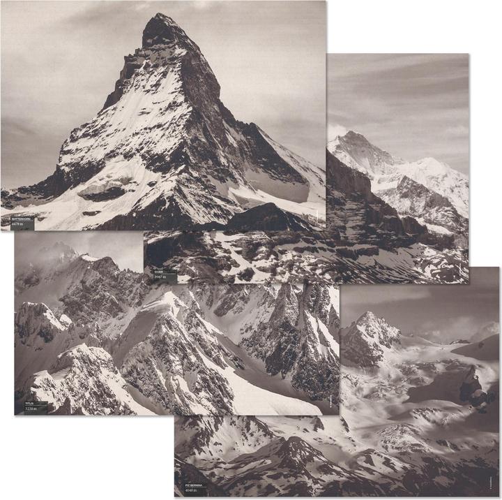 Trendform SWISS PEAKS paper table set (48 pcs.)
