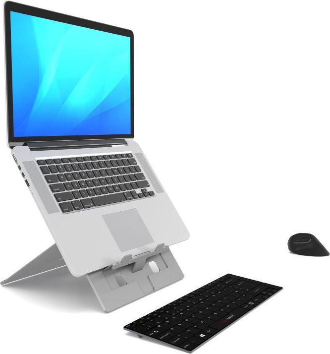 Actual product image Standivarius Stand type