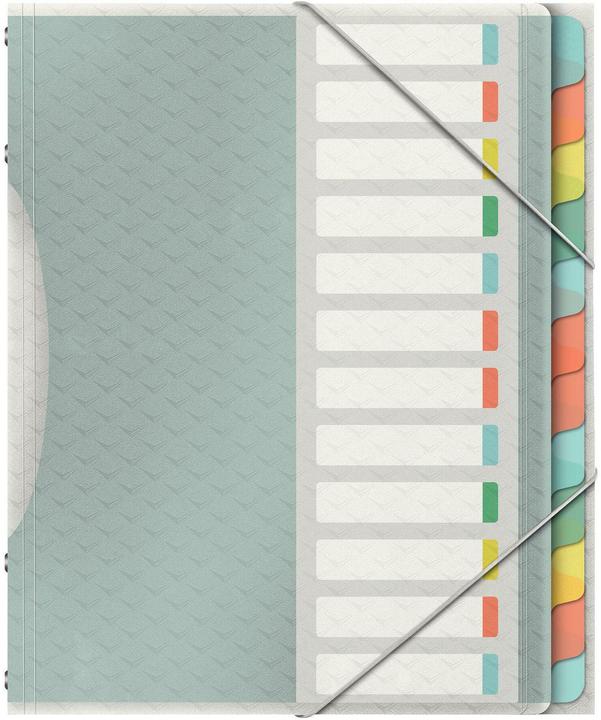 Image du produit Esselte Colour'Ice (A4, 1 x)