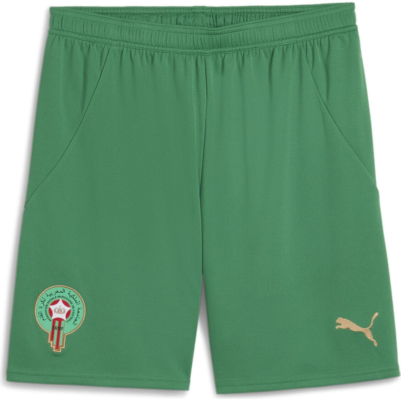 Puma, Herren, Sporthose, spielshorts maroc 2024 (XL), Grün, XL