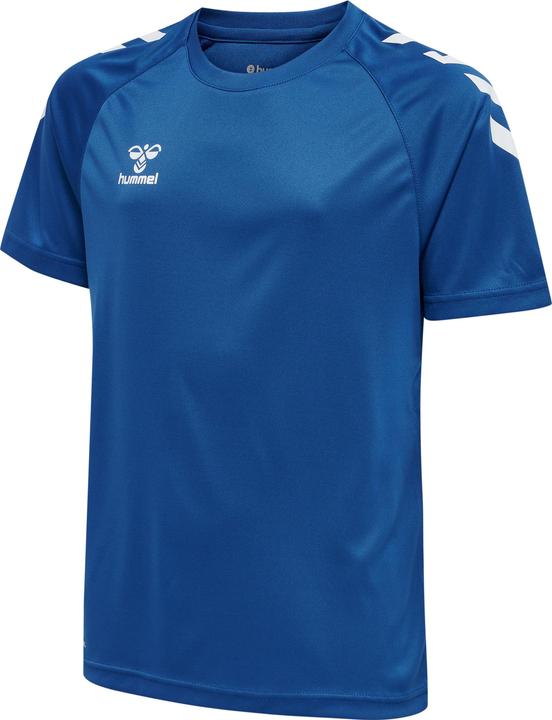 Trueblue