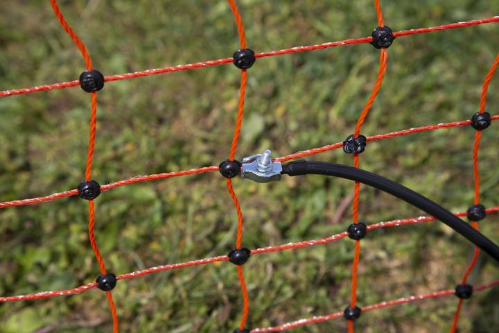 Actual product image Kerbl Door