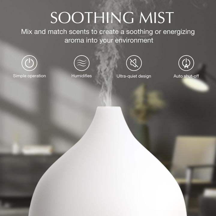 Produktbild Fellhof Aroma Diffuser, 2 Stück (100 ml)