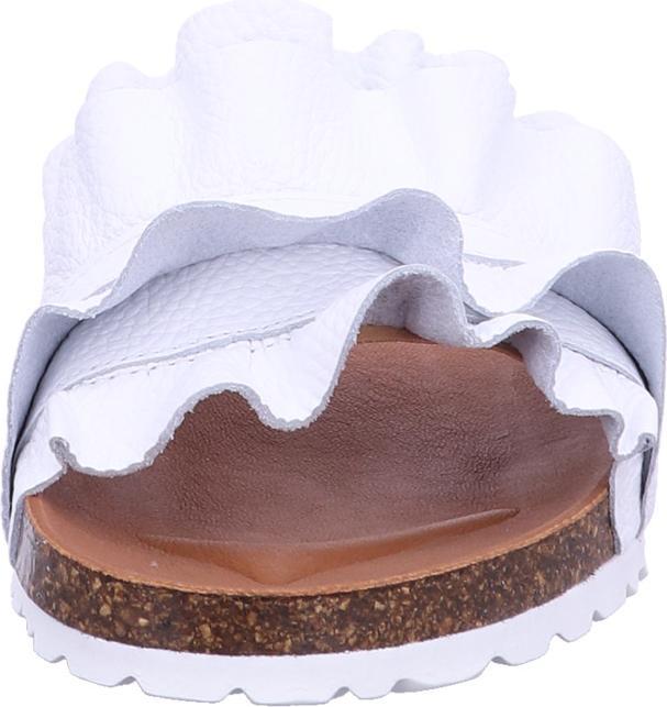 Immagine prodotto Verbenas Mulo Rocio (40)