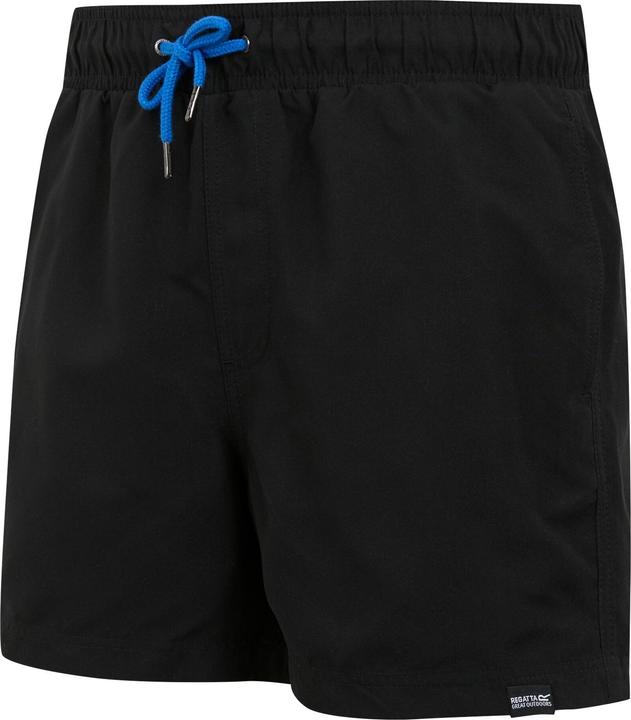 Produktbild Regatta Mawson II Kurze Hose (L)