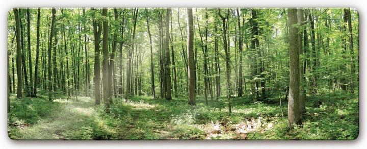 Produktbild Trenddeko Waldpanorama 02 (80 x 30 cm)