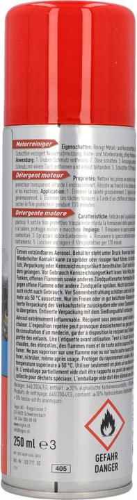 Actual product image Nigrin Engine cleaner (250 ml)