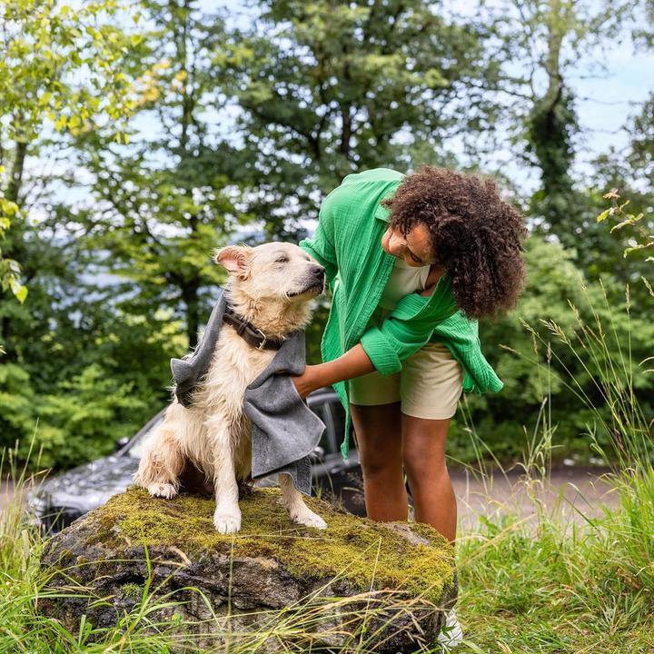Actual product image Kärcher Mobile Outdoor Cleaner OC 4 + Pet Kit (Rechargeable battery operated)