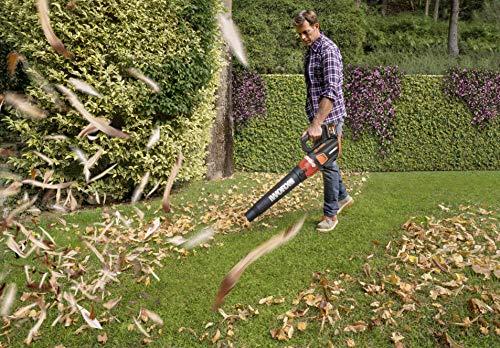 Actual product image Worx WG584E.9 (Rechargeable battery operated, Leaf blower)