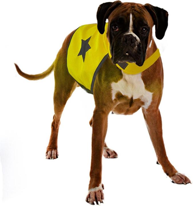 EBI Veste de sécurité Fluo L (Gilet pour chien)