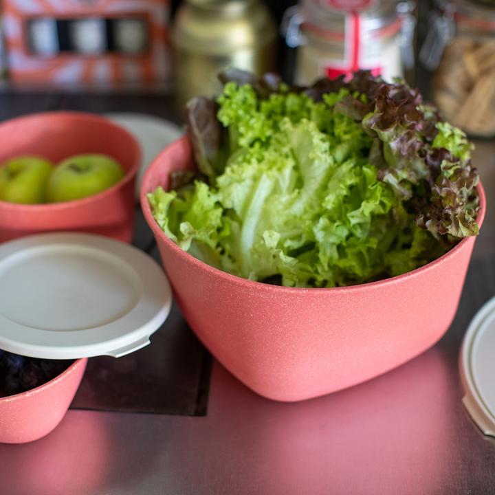 Produktbild Koziol Vorratsdose Connect 2 l, Rot (2 l)