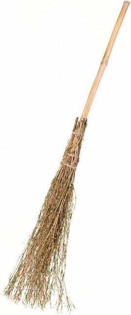 Fries Hexenbesen, Reisig hell