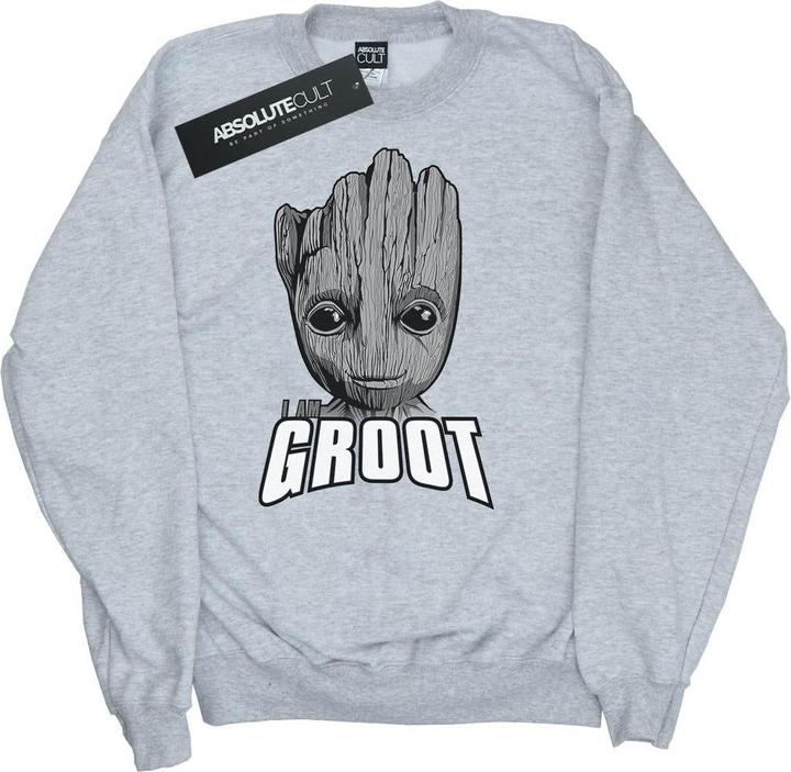 Produktbild Guardians Of The Galaxy Groot Face Sweatshirt Mädchen (128)