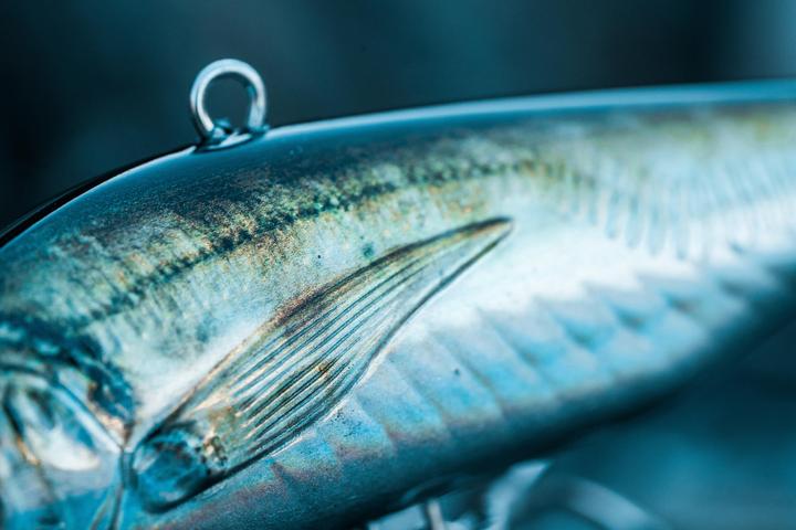 Immagine prodotto Caperlan Wobbler affondante per la pesca in mare (10 cm)