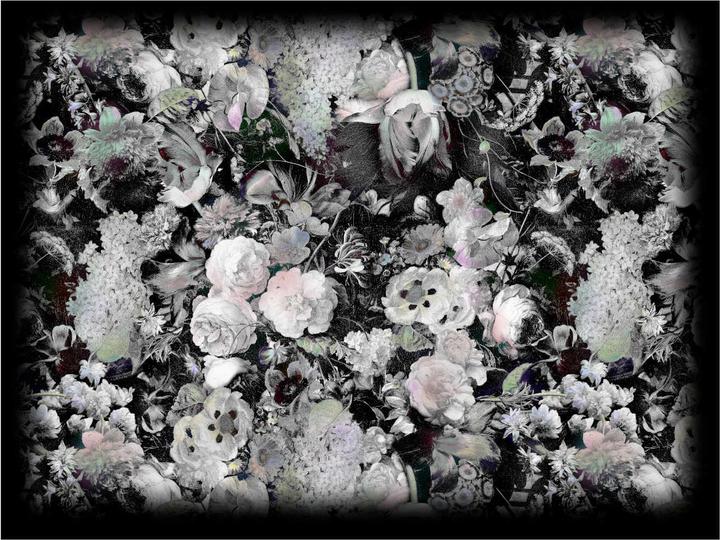 Produktbild Moooi Eden Queen B&W Teppich (300 x 400 cm)