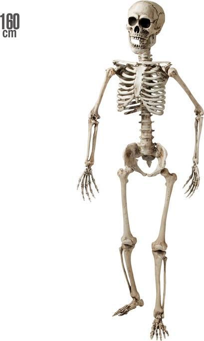 Actual product image Widmann Skeleton life size (1 pcs.)