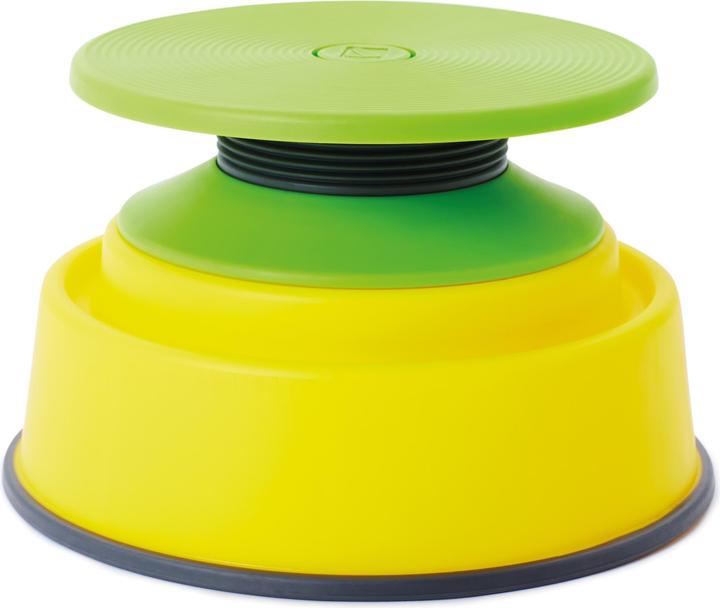 Actual product image Gonge Build N' Balance wobble disc