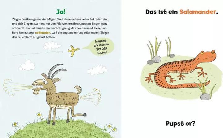 Produktbild Wer hat hier gepupst? (Deutsch, Nick Caruso, 2020)