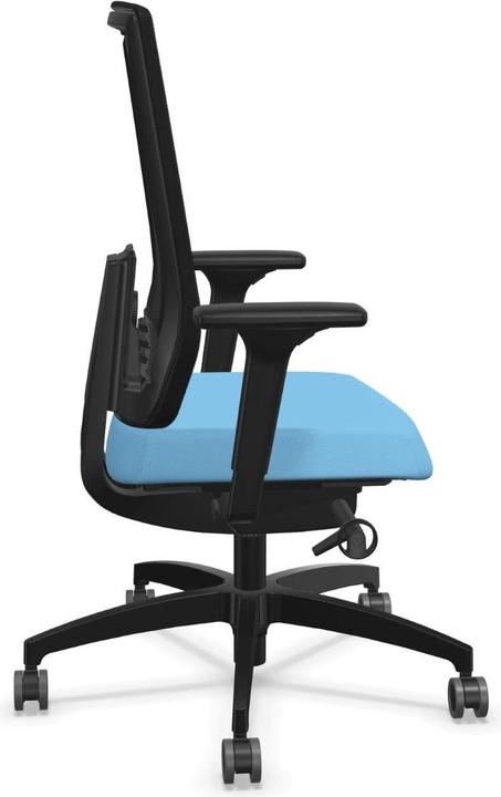 Actual product image Dauphin Office chair Indeed Mesh with mesh back, Black/Blue
