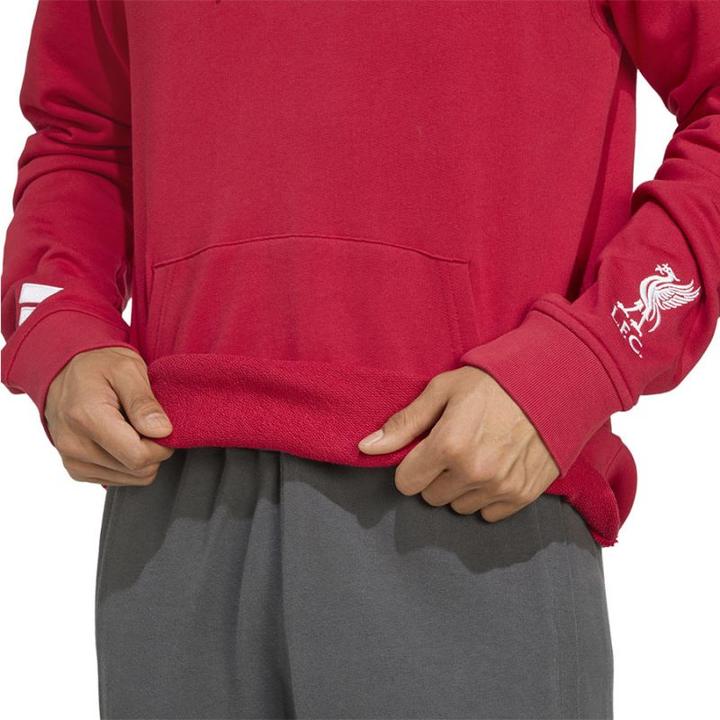 Image du produit Adidas Liverpool-Hoodie (L)