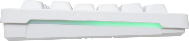 Actual product image Baracuda BGC-012 Orca White Combo (US, Cable)