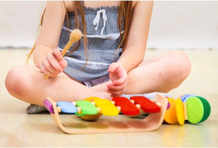 Produktbild Plantoys Ovales Xylophon (Multilingual)