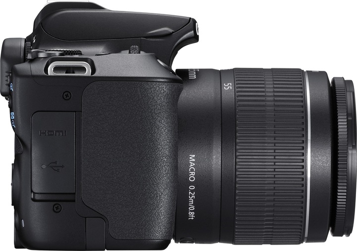 Produktbild Canon EOS 250D (18 - 55 mm, 24.10 Mpx, APS-C / DX)
