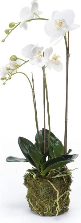 Immagine prodotto Emerald Pianta artificiale (70 cm)