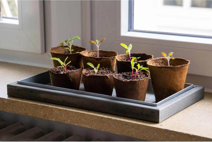 Produktbild Dobar Mini-Gewächshaus mit Töpfen