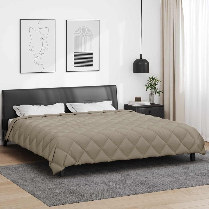 Immagine prodotto vidaXL Winterbettdecke (240 x 200 cm)