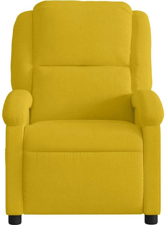 Immagine prodotto vidaXL Sedia reclinabile in velluto elettrico