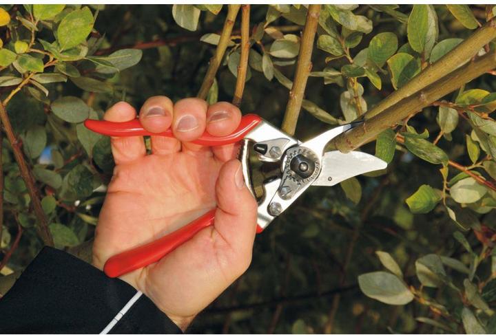 Image du produit Felco Cisailles de jardin 6