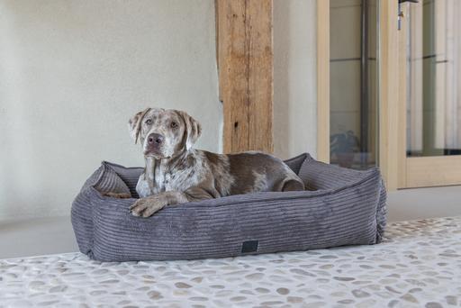 Image du produit Designed by Lotte Ribbed (Chien)