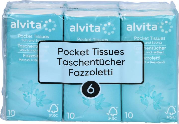 Alvita Taschentuecher, 6X10 St TUE