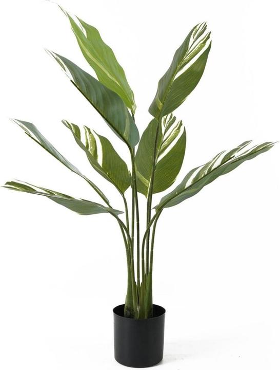 present time Kunstplant Calathea - Groen - 63x63x90cm - Modern (90 cm)