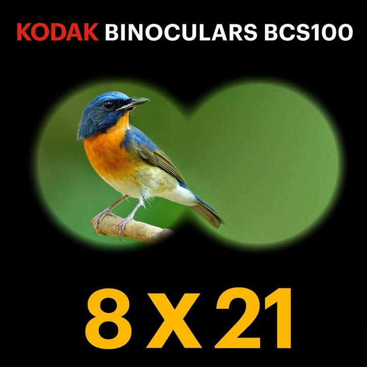 Actual product image Kodak Bcs100 (8 x, 21 mm)