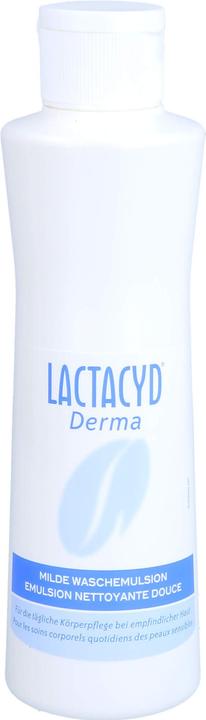 Actual product image Abtei Lactacyd Derma Washesyndet (250 ml)