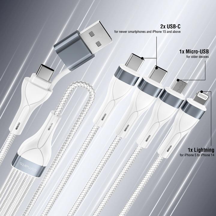Image du produit 4smarts 4en2 (0.25 m, USB 2.0, 15 W)