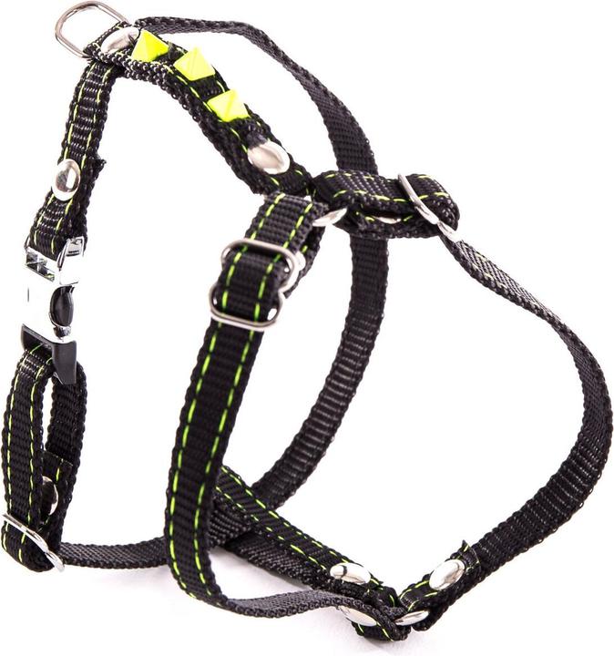 Produktbild Martin Sellier Fluoreszierendes Hundegeschirr (Hund, Spazieren)