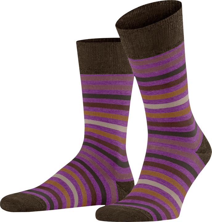 Produktbild Falke Tinted Stripe Herren Socken (39 - 42)