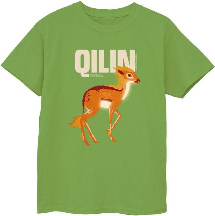 Actual product image Fantastic Beasts Boys Qilin Character T-Shirt (128)