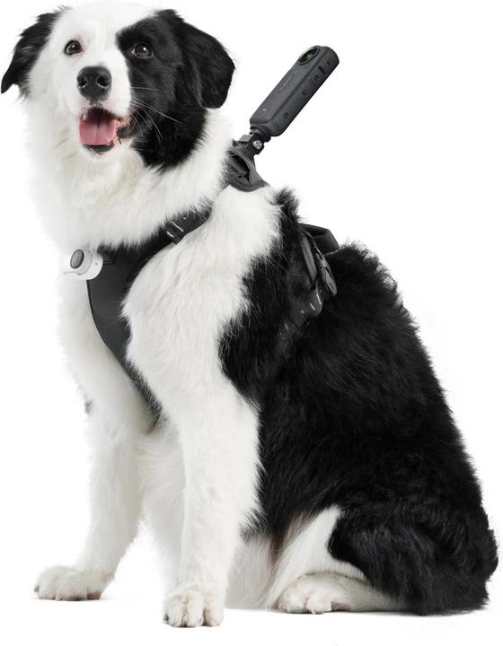 Image du produit Insta360 Pet Harness Mount, size L