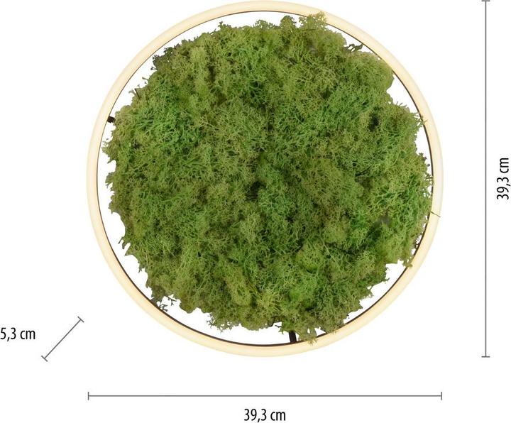 Image du produit Leuchten Direkt Green Ritus (2650 lm)
