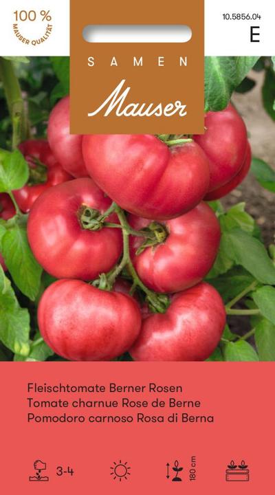 Image du produit Samen Mauser Tomates de boeuf Roses bernoises (Graines de légumes)