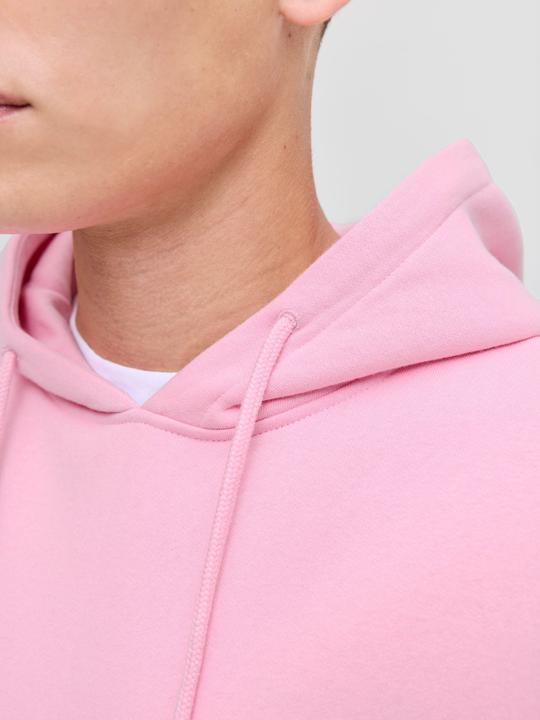 Produktbild Jack & Jones Jjesoho Sweat Hood Noos (S)