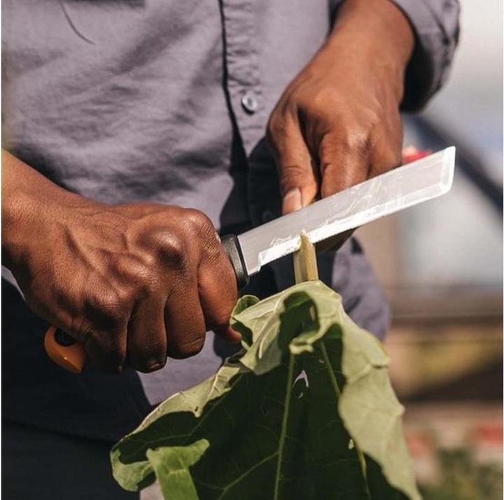 Productafbeelding Fiskars Xseries K82 oogstmachine